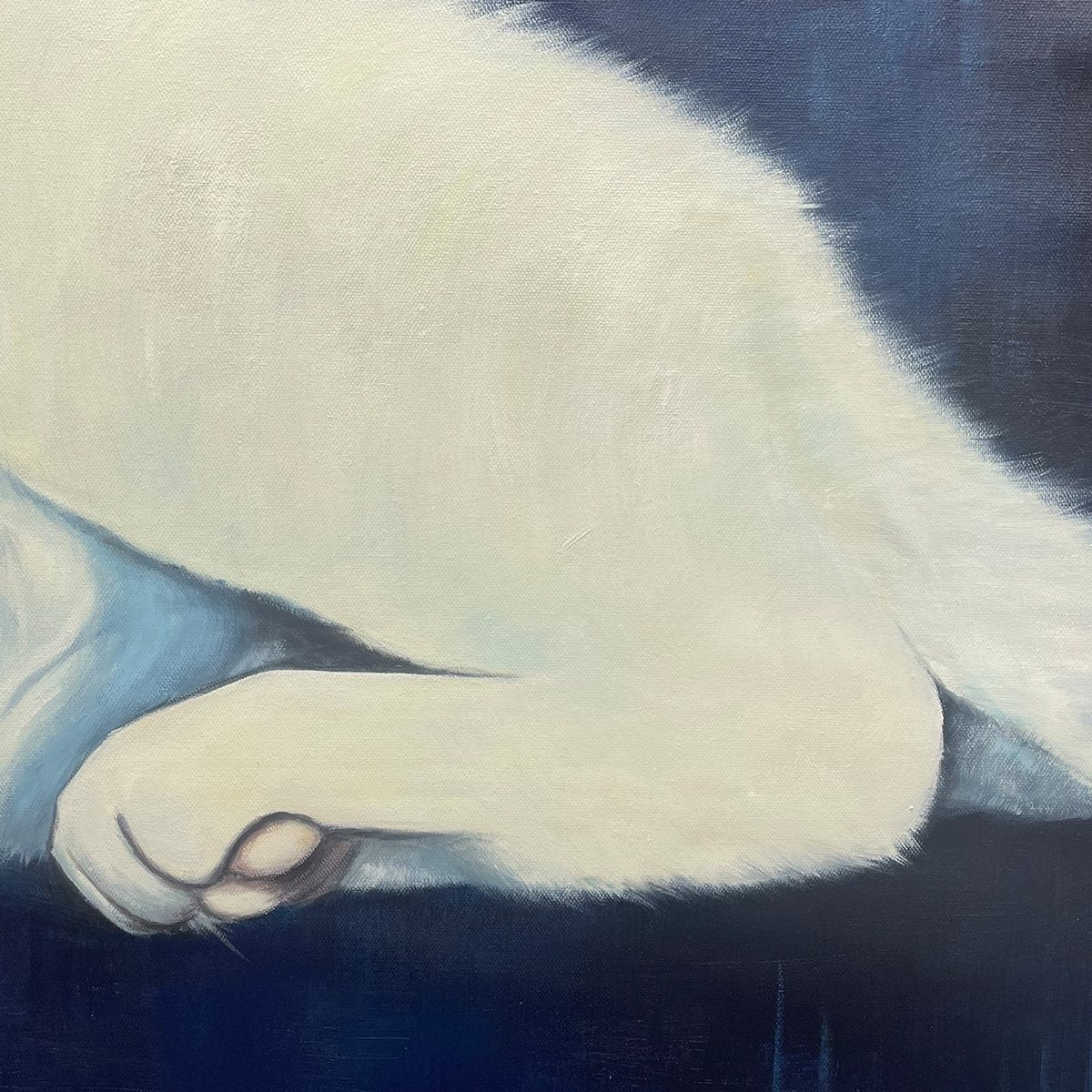SLEEPING WHITE CAT PANORAMIC- Cat Painting, Panoramic Wall Art, Pet Portrait