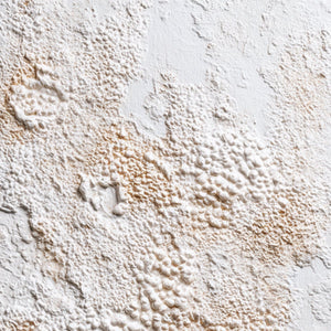 TERRA VEIL: Wabi Sabi Textured Minimalist Abstract Painting