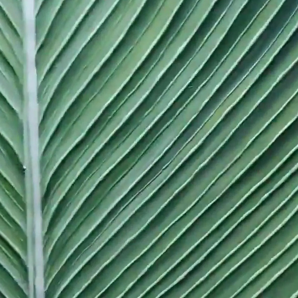 TROPICAL SERENITY: Minimalist Botanical Painting, Green Leaf Wall Art, Vertical Canvas