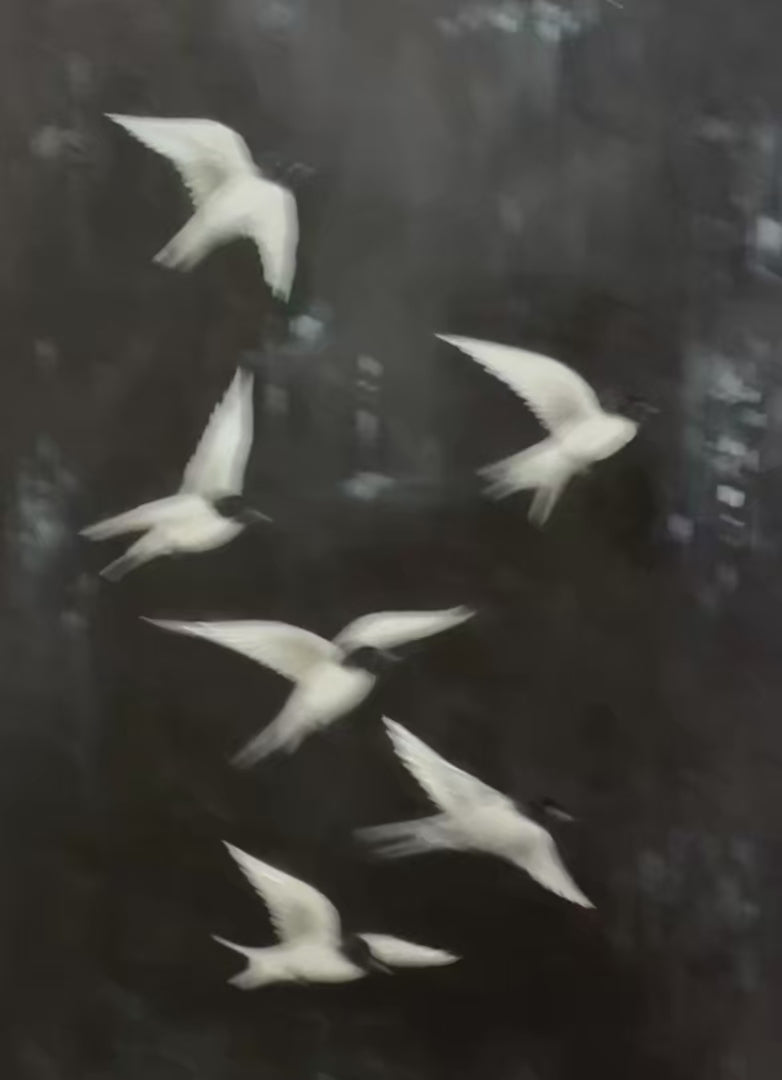 Flight: Original Minimalist Birds Oil Painting - Black and White Wall Art Decor