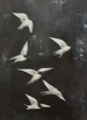 Flight: Original Minimalist Birds Oil Painting - Black and White Wall Art Decor
