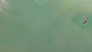 TIDAL CHASE: Aerial Surfer Sports Scene Painting