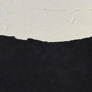 Liam O'Connell Black and white abstract diptych art, showcasing textured surface and landscape horizon in the contrast color.